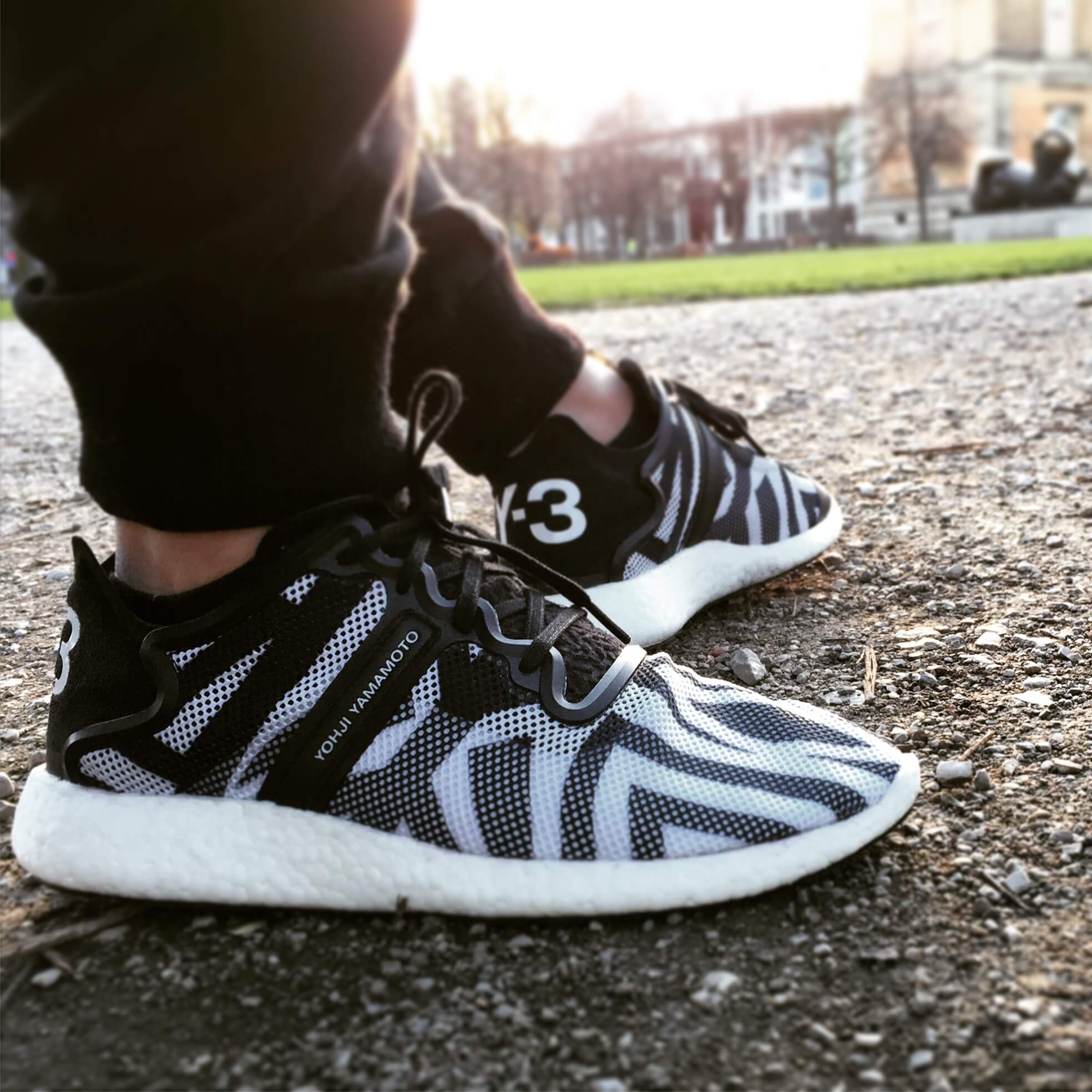 adidas y3 zebra